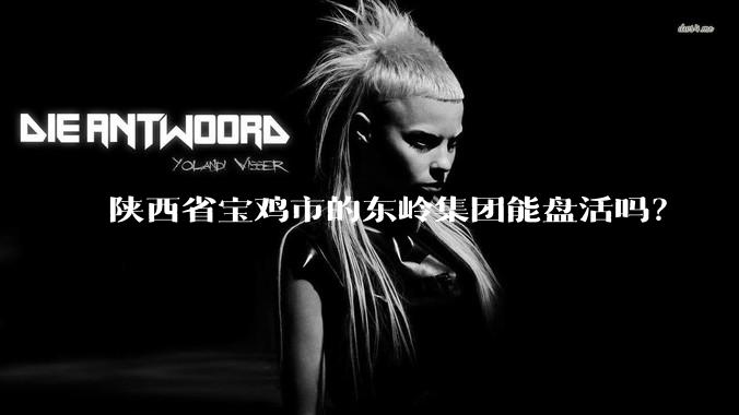 陕西省宝鸡市的东岭集团能盘活吗？