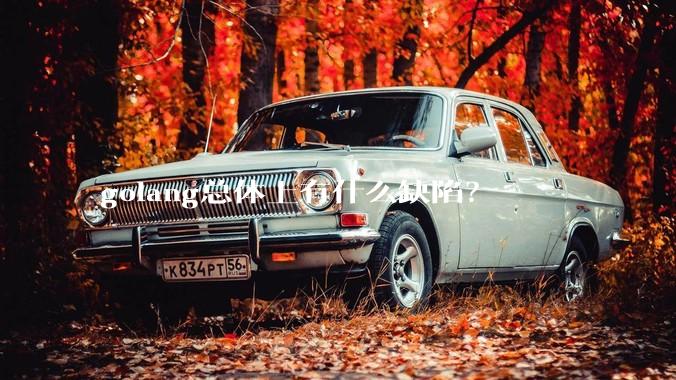 golang总体上有什么缺陷？