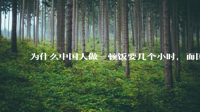 为什么中国人做一顿饭要几个小时，而国外花的时间少得多？