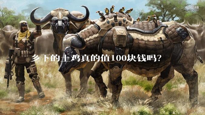 乡下的土鸡真的值100块钱吗？