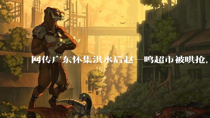 网传广东怀集洪水后赵一鸣超市被哄抢，县***回应相关单位正在核实，若属实哄抢者该承担哪些法律责任？