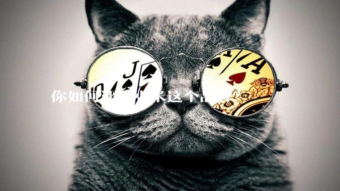 你如何评价小米这个品牌？