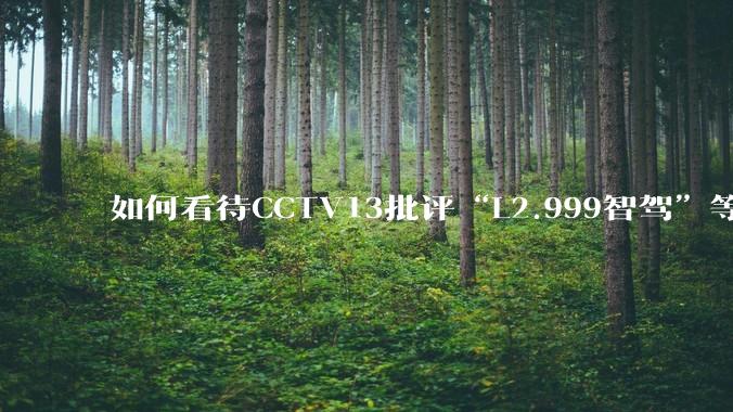 如何看待CCTV13批评“L2.999智驾”等误导性宣传，若导致事故车企可能需要担责？