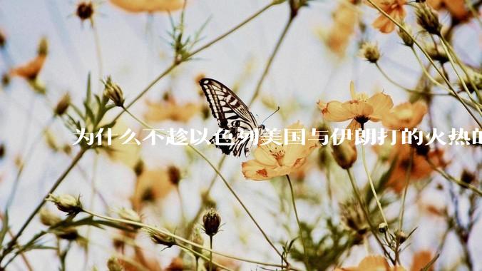 为什么不趁以色列美国与伊朗打的火热的时机收复台湾呢？