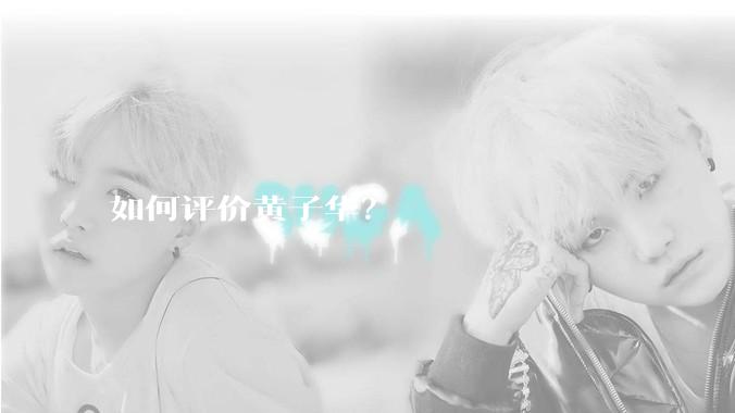 如何评价黄子华？