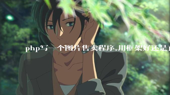 php写一个图片售卖程序,用框架好还是直接写好?