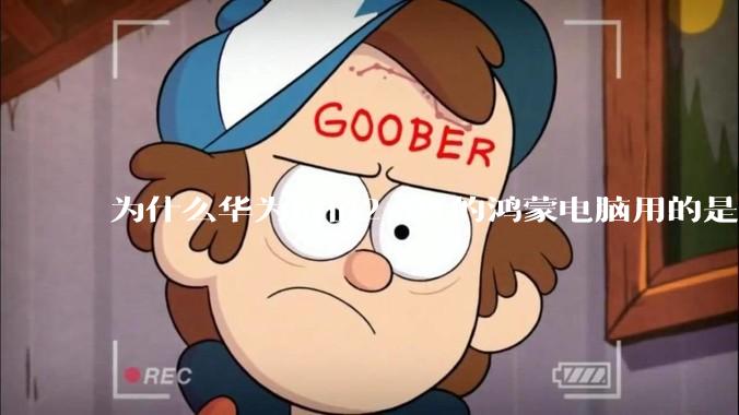 为什么华为价值2.3W的鸿蒙电脑用的是美国西数的中低固态硬盘？？