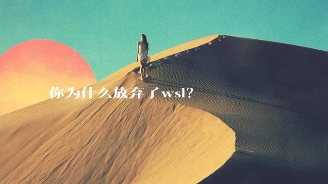 你为什么放弃了wsl？